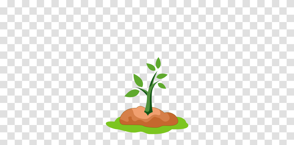 Business Growth Plans Website Designers, Plant, Carrot, Vegetable, Food Transparent Png