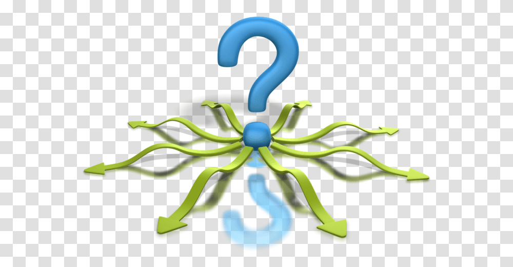 Business Networking Questions Animation, Animal, Invertebrate, Spider, Arachnid Transparent Png