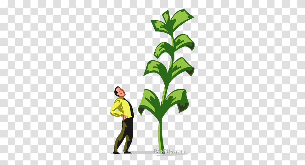 Businessman Looking, Person, Vegetation, Plant, Building Transparent Png