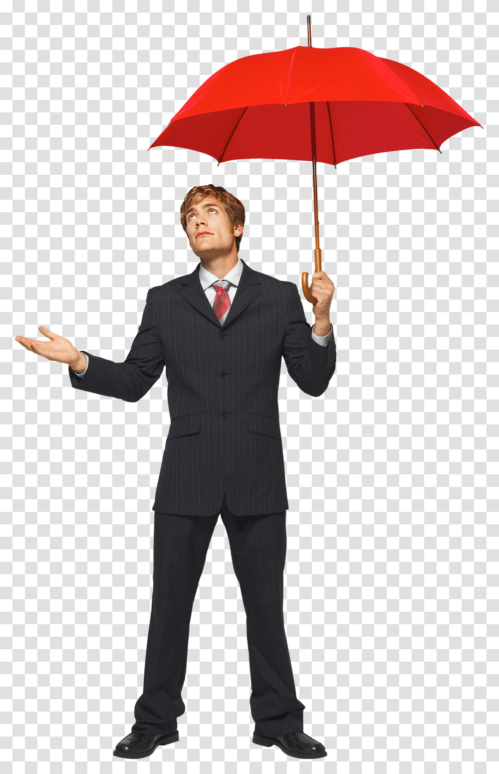 Businessman, Person, Suit, Overcoat Transparent Png