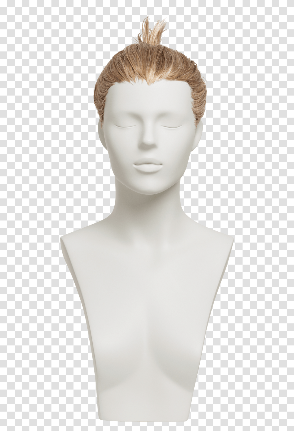 Bust, Mannequin, Head, Doll, Toy Transparent Png