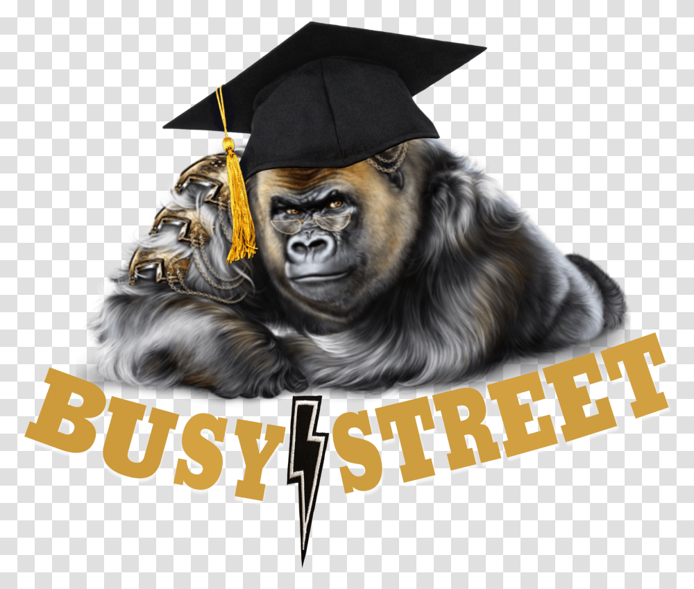 Busy Graduation Sticker Grub Street Transparent Png