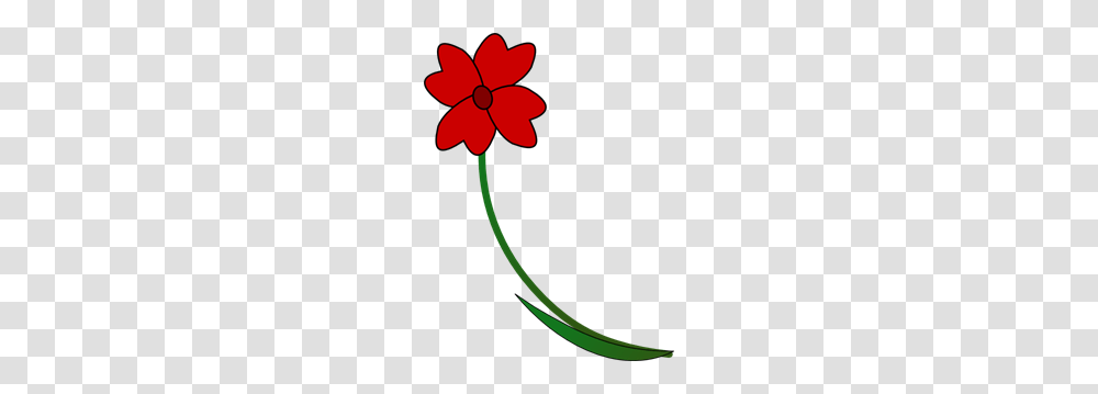 Busy Lizzie Clip Art For Web, Plant, Flower, Blossom, Petal Transparent Png