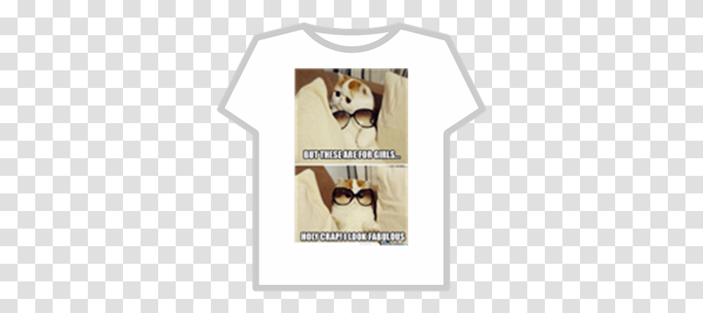 But Theseareforgirlssunglassescatmeme Roblox Memes For Cat Lovers, Clothing, Apparel, T-Shirt, Accessories Transparent Png