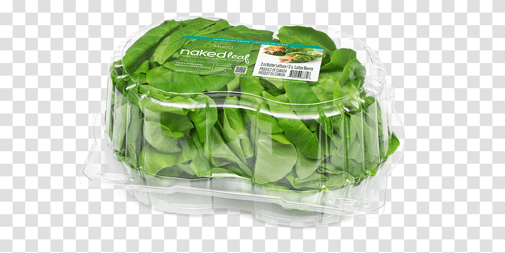 Butter Clam 2ct New Spinach, Plant, Lettuce, Vegetable, Food Transparent Png