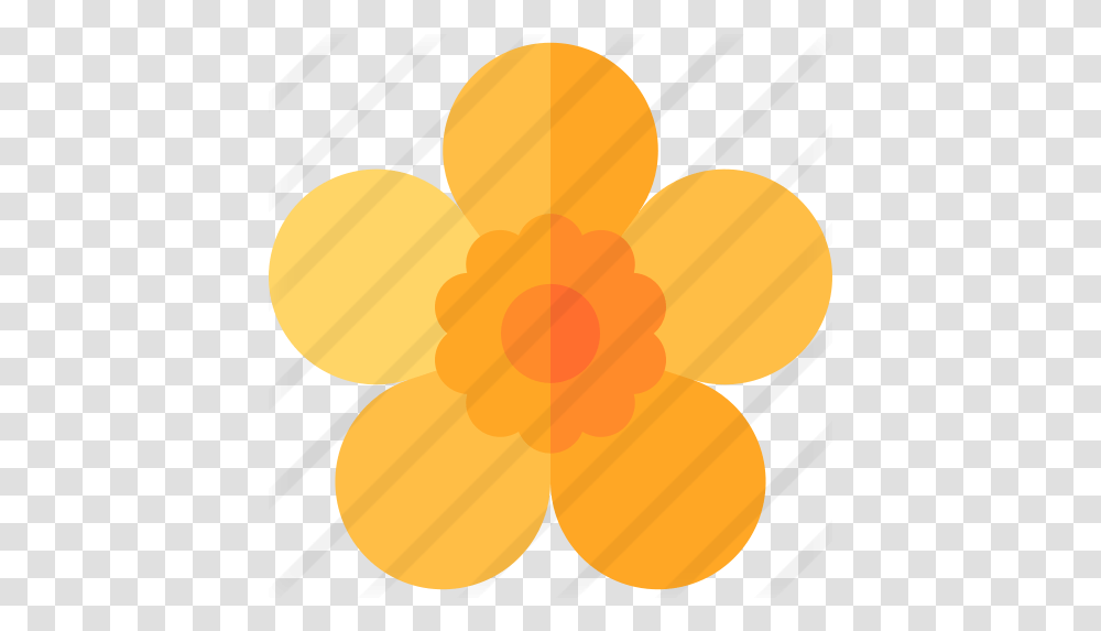 Buttercup Flower, Plant, Heart, Sweets, Food Transparent Png