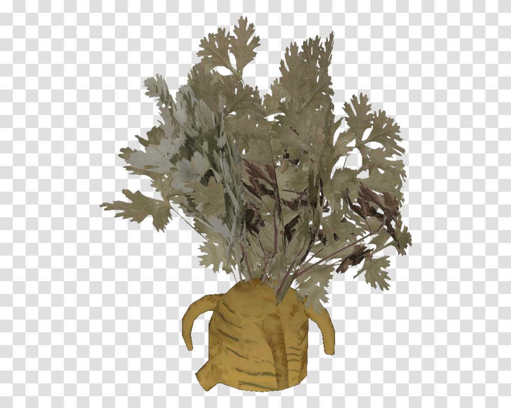 Buttercup, Plant, Flower, Produce Transparent Png