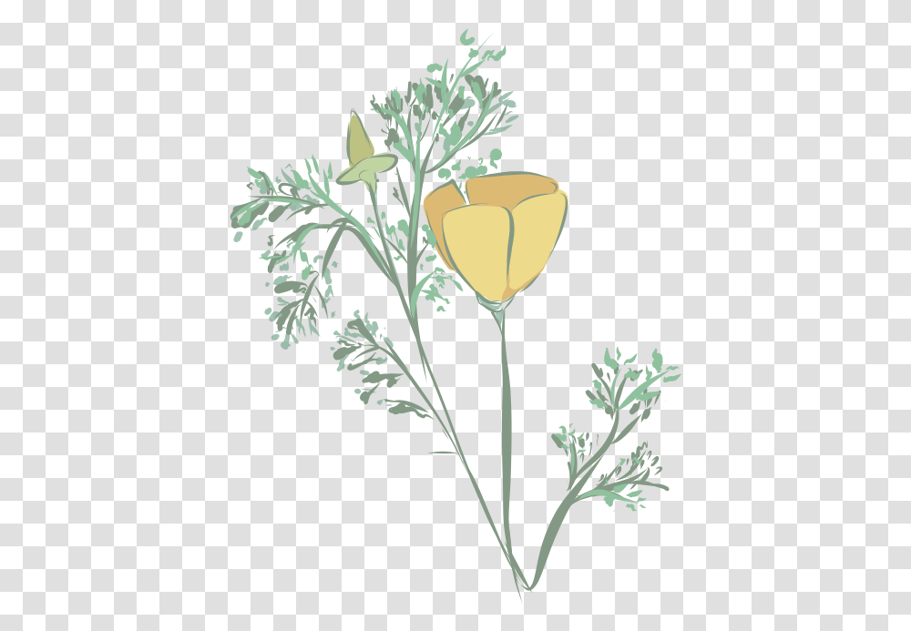 Buttercup, Plant, Flower, Rose, Vase Transparent Png