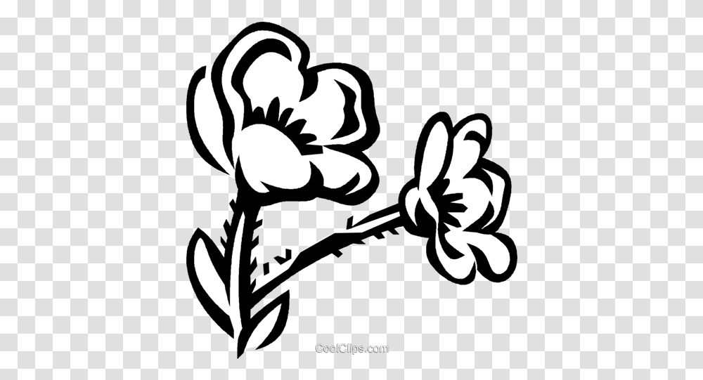 Buttercup Royalty Free Vector Clip Art Buttercup Flower Clipart, Stencil, Graphics, Floral Design, Pattern Transparent Png