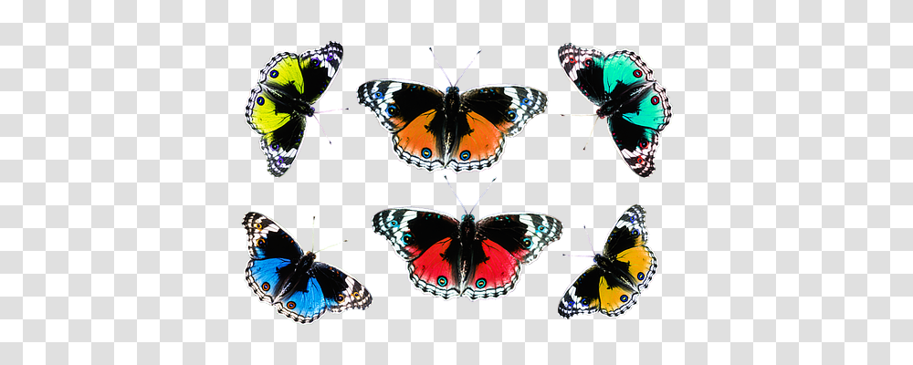 Butterflies Animals, Insect, Invertebrate, Butterfly Transparent Png