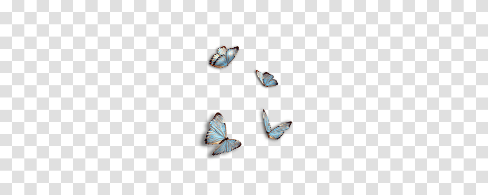 Butterflies Animals, Invertebrate, Insect, Butterfly Transparent Png