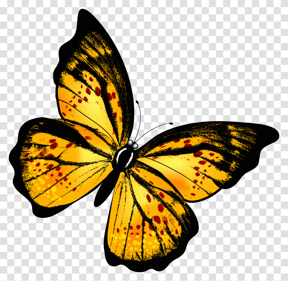 Butterflies 3 Image Yellow Butterfly, Monarch, Insect, Invertebrate, Animal Transparent Png