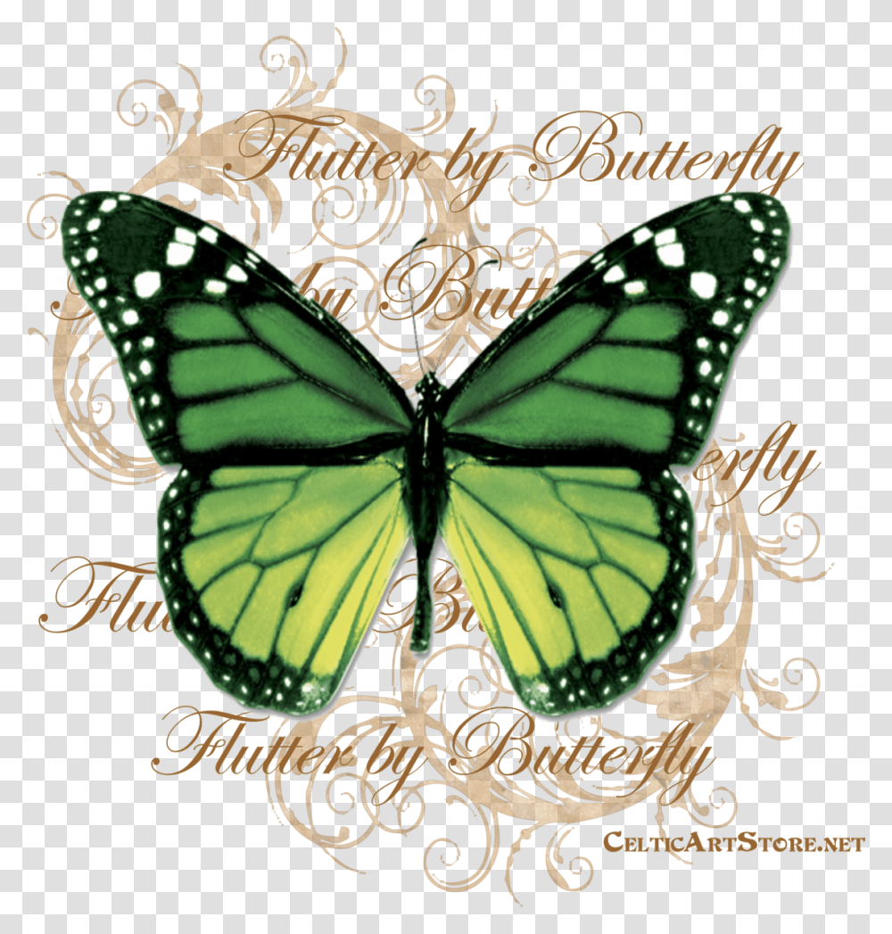 Butterflies Amp Dragonflies Tagged Quotbutterfly Rainbow Butterfly Real Life, Insect, Invertebrate, Animal, Pattern Transparent Png