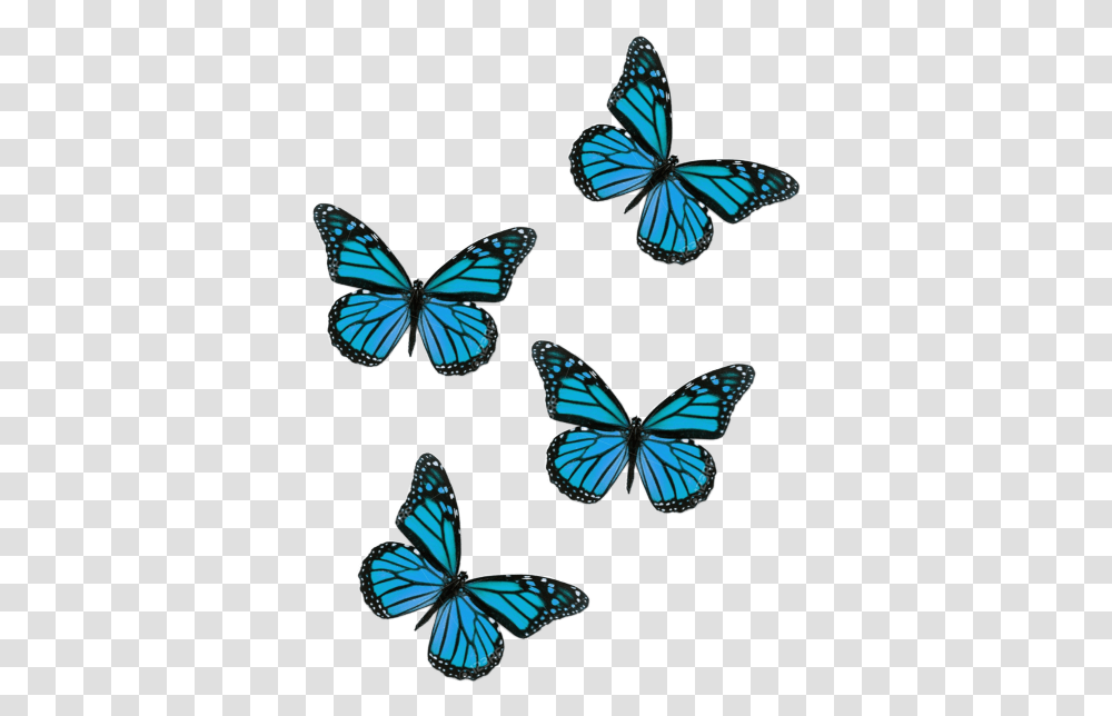 Butterflies Butterfliesstickerremix Butterfly Aesthetic Flying Pink Butterfly, Insect, Invertebrate, Animal, Bird Transparent Png