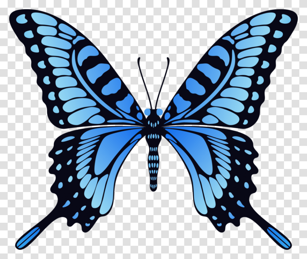 Butterflies Butterfly Blue, Pattern, Insect Transparent Png