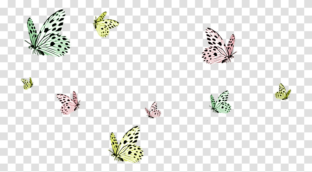 Butterflies Butterfly Flying Butterflysticker Dailysticker Background Butterflies, Floral Design, Pattern Transparent Png