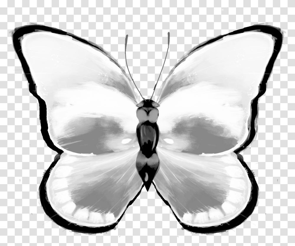 Butterflies, Butterfly, Insect, Invertebrate, Animal Transparent Png