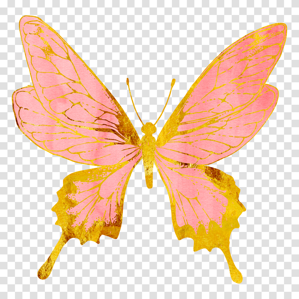 Butterflies Butterfly Pastel Pink Rosegold Gold Golden, Insect, Invertebrate, Animal, Leaf Transparent Png