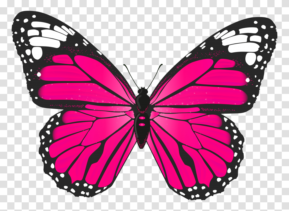 Butterflies Clipart Free 2 Image Pink Butterfly Transparent Png