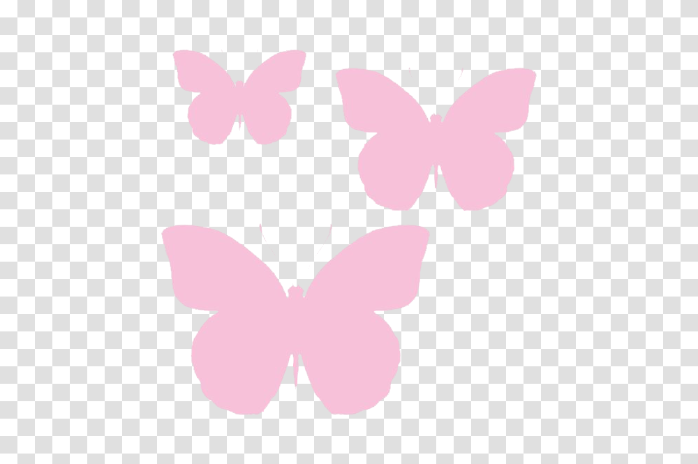 Butterflies Coloured Light Pink Butterfly Full Pink Butterfly, Flower, Plant, Blossom, Graphics Transparent Png