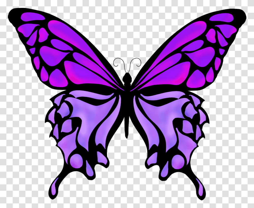 Butterflies Drawing Color Silhouette Butterfly Vector, Floral Design, Pattern Transparent Png