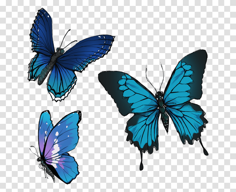 Butterflies Drawing Group Painting Of Group Butterflies, Insect, Invertebrate, Animal, Butterfly Transparent Png