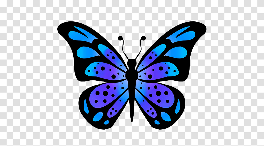 Butterflies Drawings, Pattern, Ornament Transparent Png