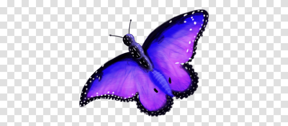 Butterflies Enchanted Enchanted Butterfly, Purple, Animal, Invertebrate, Insect Transparent Png