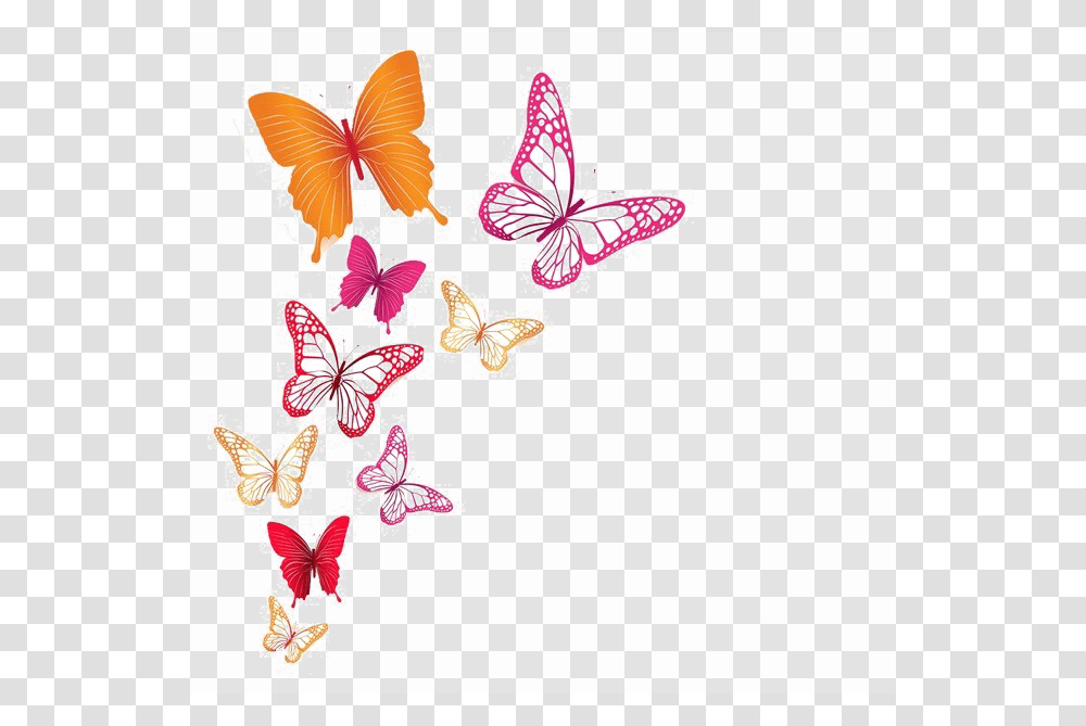 Butterflies Images, Pattern, Floral Design Transparent Png
