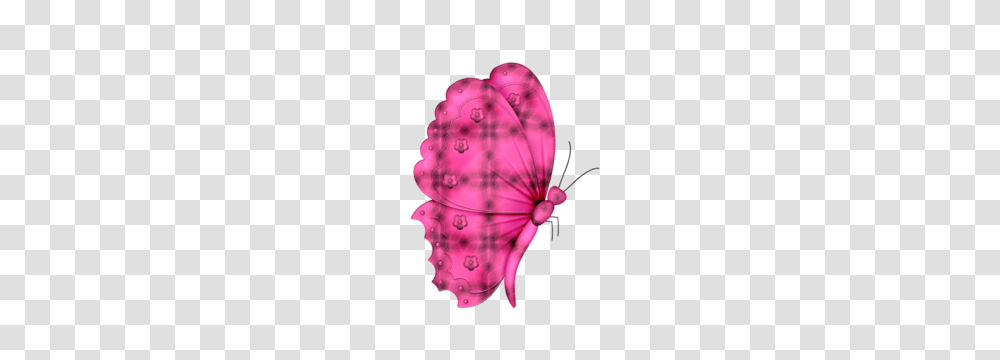 Butterflies, Invertebrate, Animal, Sea Life, Heart Transparent Png