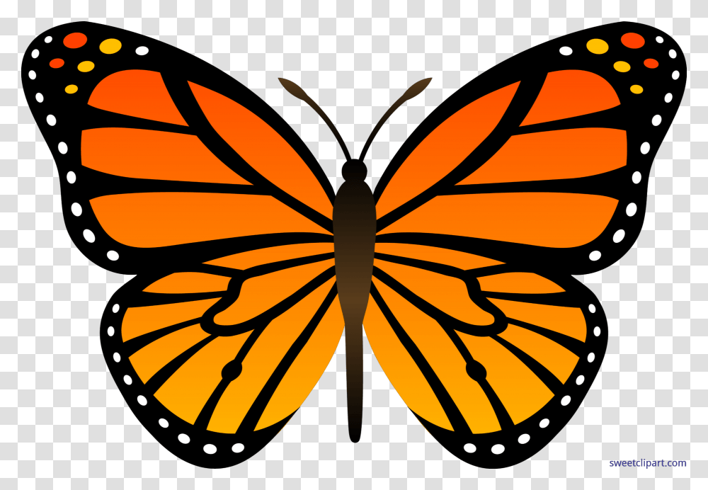 Butterflies Orang Free Butterfly Clip Art Clipartlook Easy Monarch Butterfly Drawing, Insect, Invertebrate, Animal, Pattern Transparent Png