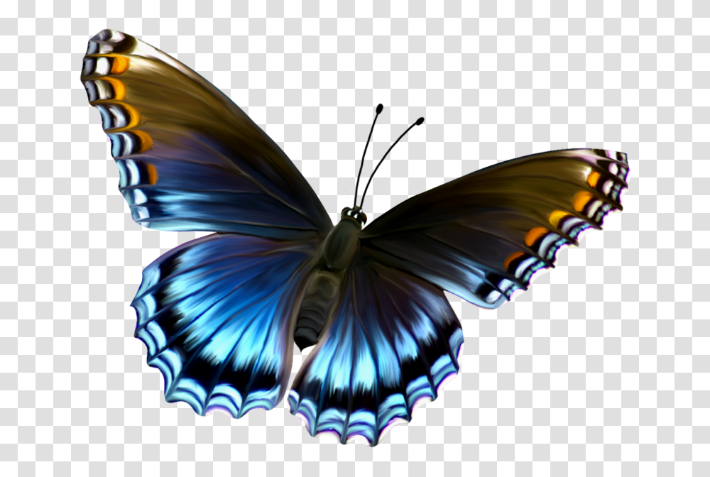 Butterflies Pictures, Ornament, Pattern, Bird, Animal Transparent Png