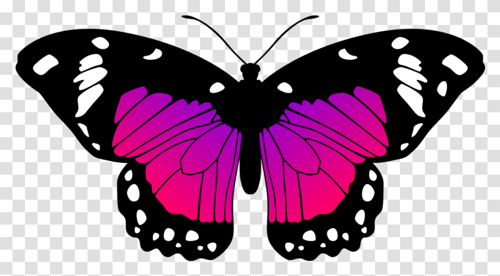 Butterflies Pink Purple Butterfly Black And White Clipart, Insect, Invertebrate, Animal, Pattern Transparent Png