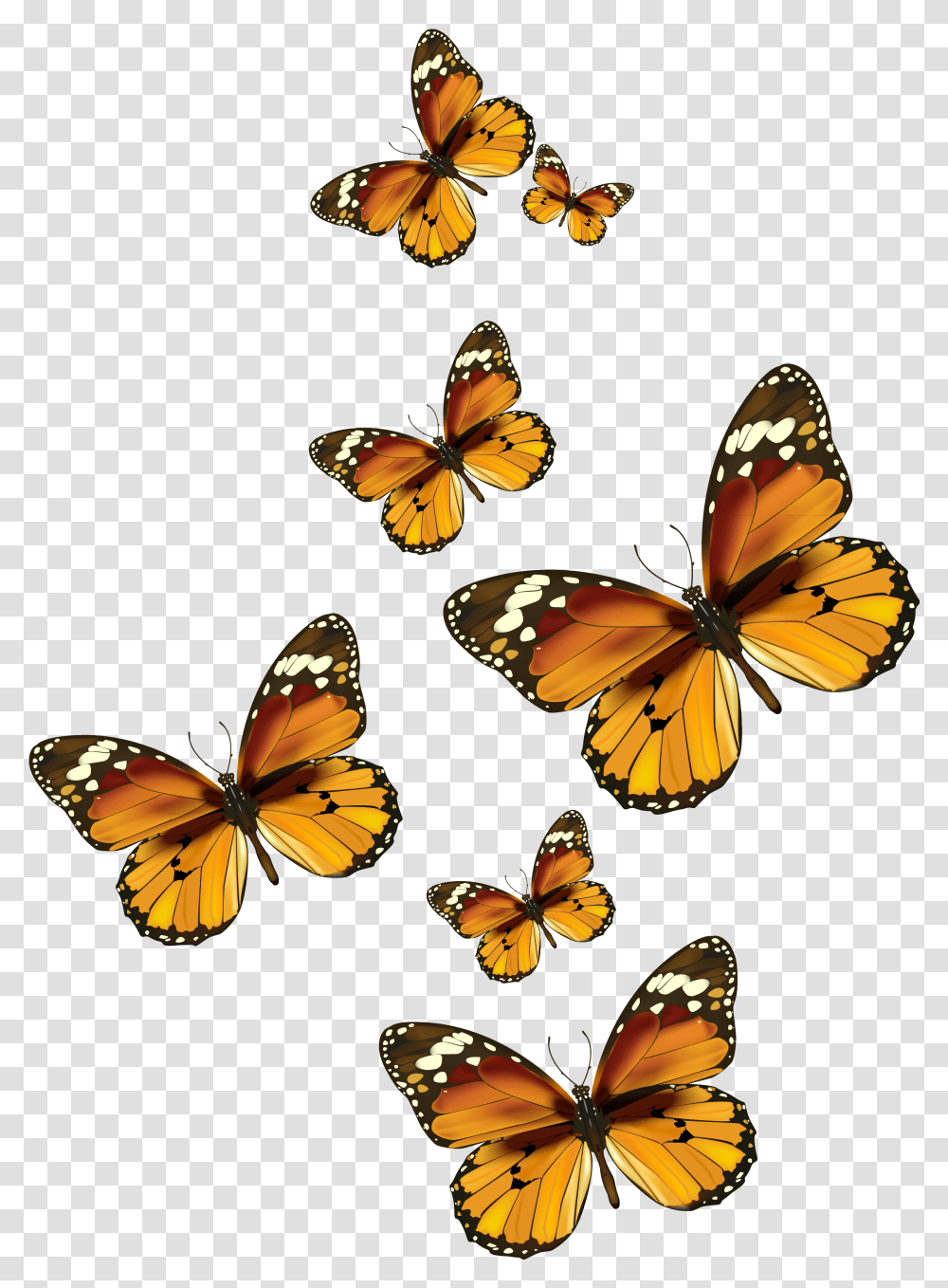 Butterflies Vector Clipart Picture Gallery Painted Lady Butterfly Clip Art, Insect, Invertebrate, Animal, Monarch Transparent Png