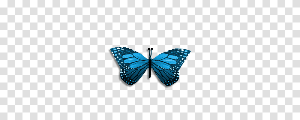 Butterfly Nature, Insect, Invertebrate, Animal Transparent Png