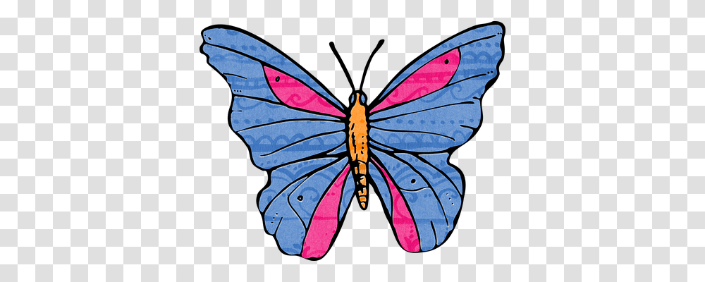 Butterfly Nature, Pattern, Modern Art Transparent Png
