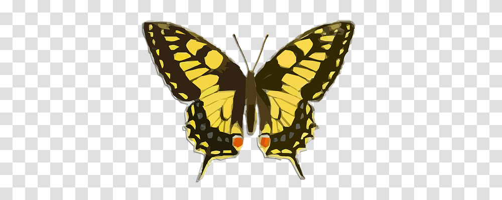 Butterfly Tool, Insect, Invertebrate, Animal Transparent Png