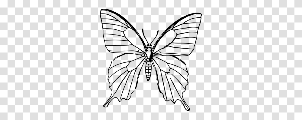 Butterfly Animals, Gray, World Of Warcraft Transparent Png