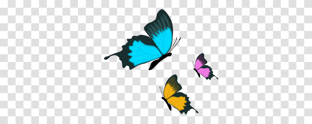 Butterfly Nature, Animal, Jay, Bird Transparent Png