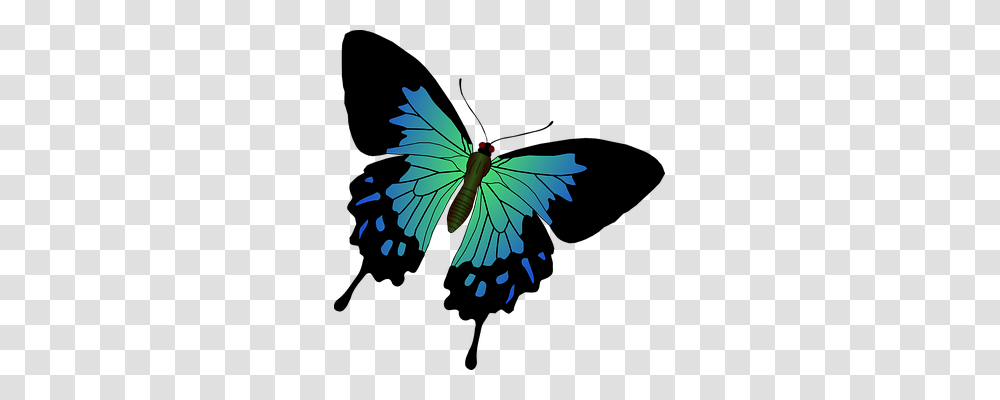 Butterfly Animals, Pattern, Light, Invertebrate Transparent Png