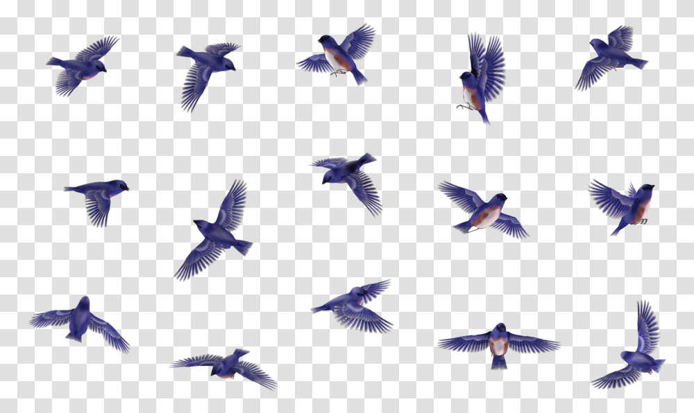 Butterfly 14 By Flock, Flying, Bird, Animal, Bluebird Transparent Png