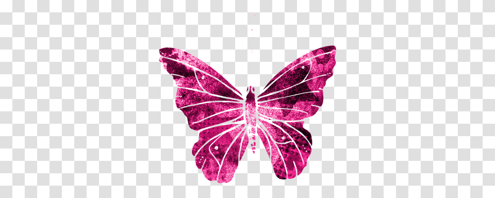 Butterfly Nature, Leaf, Plant, Purple Transparent Png