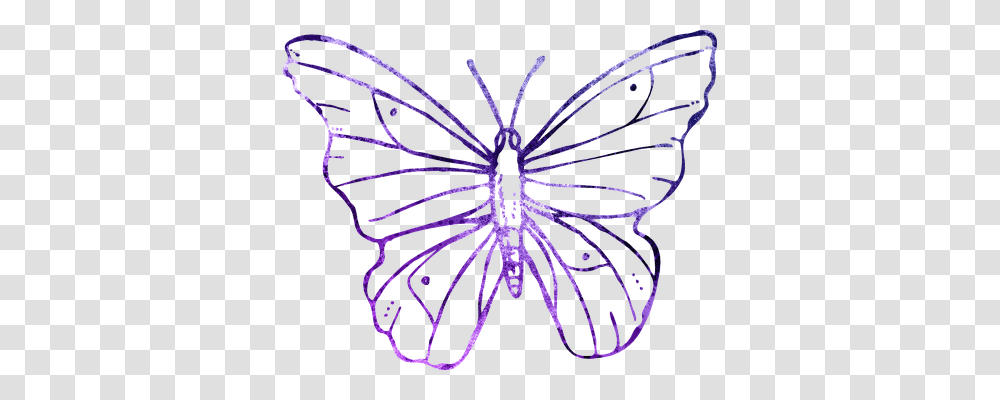 Butterfly Nature, Purple, Light, Flare Transparent Png