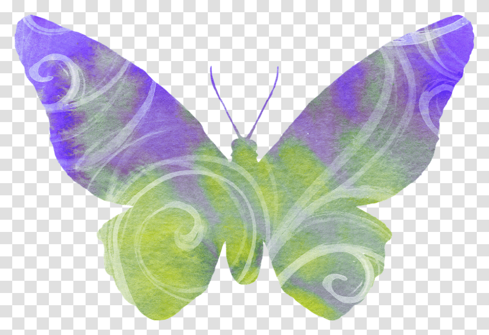 Butterfly 960, Moth, Insect, Invertebrate, Animal Transparent Png