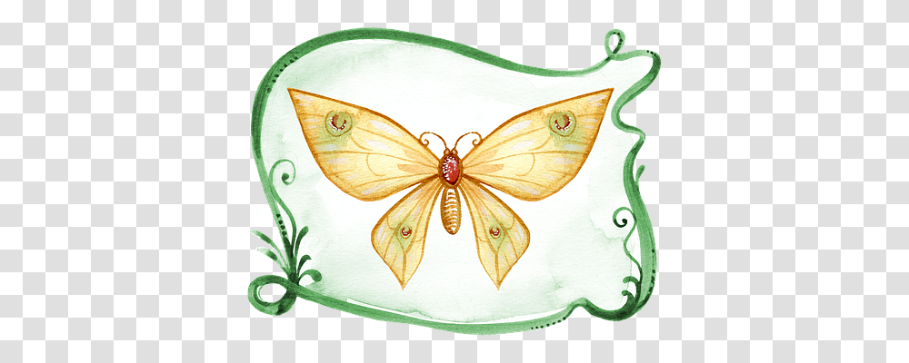 Butterfly Tool, Meal, Painting Transparent Png