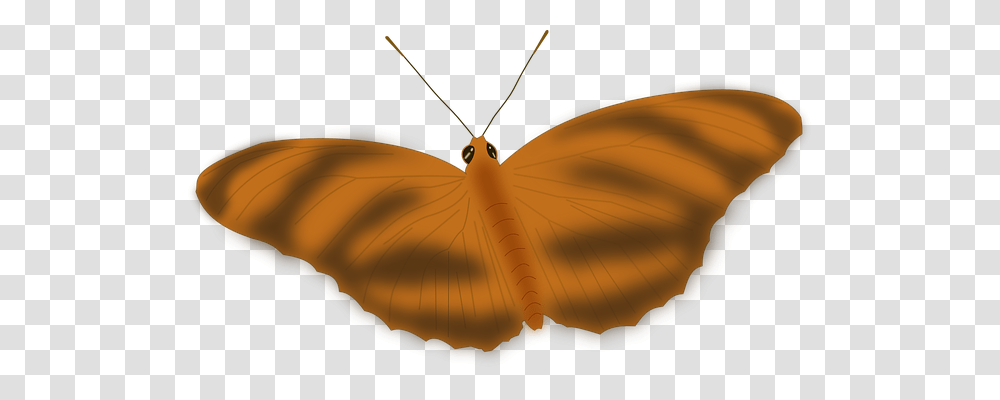 Butterfly Animals, Lamp, Insect, Invertebrate Transparent Png
