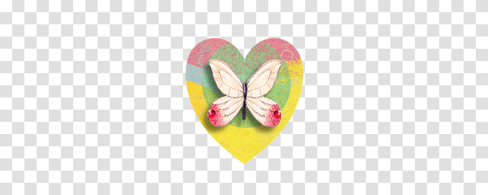 Butterfly Tool, Plectrum, Painting Transparent Png