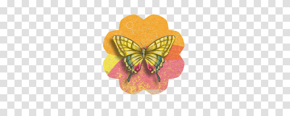 Butterfly Tool, Jewelry, Accessories, Accessory Transparent Png