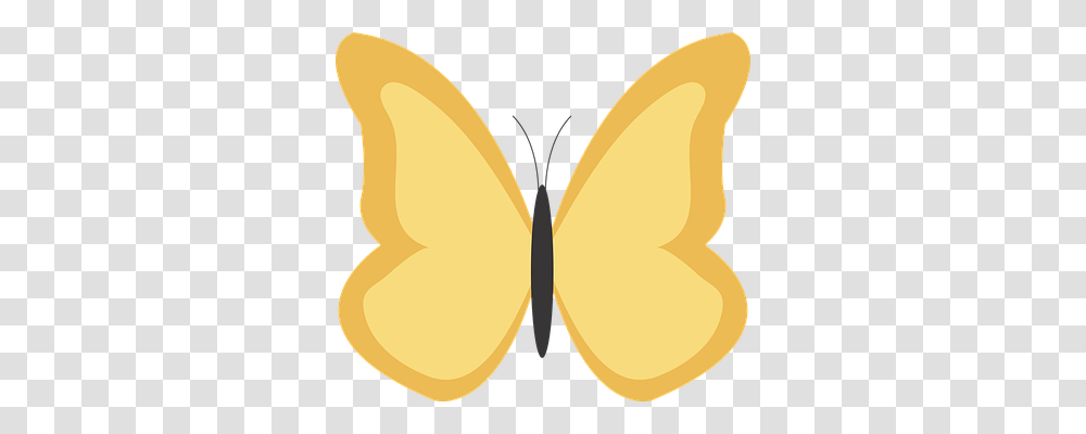 Butterfly Nature, Pattern, Plant, Ornament Transparent Png