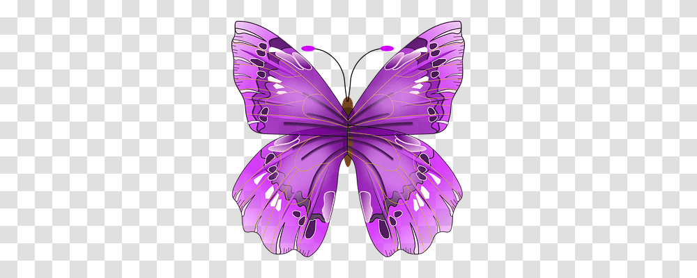 Butterfly Animals, Purple, Ornament, Pattern Transparent Png